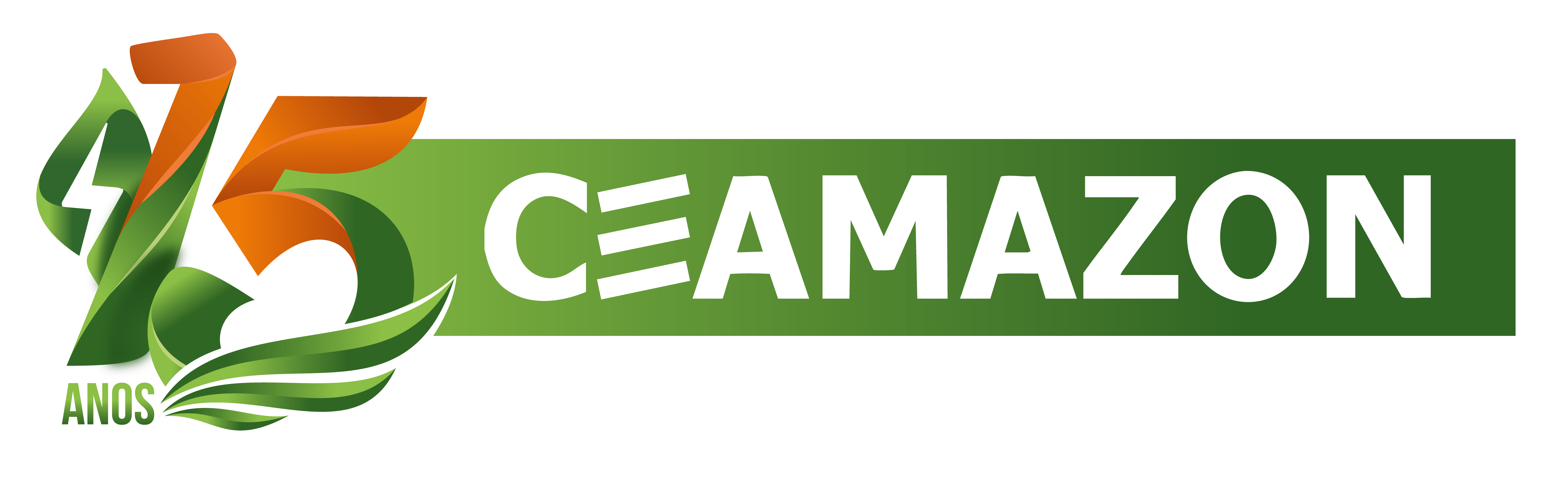 Logo Ceamazon 15 Anos